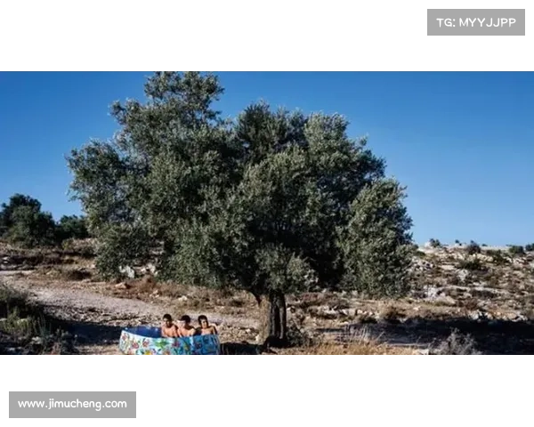 wta红土赛事红土大师赛有几站